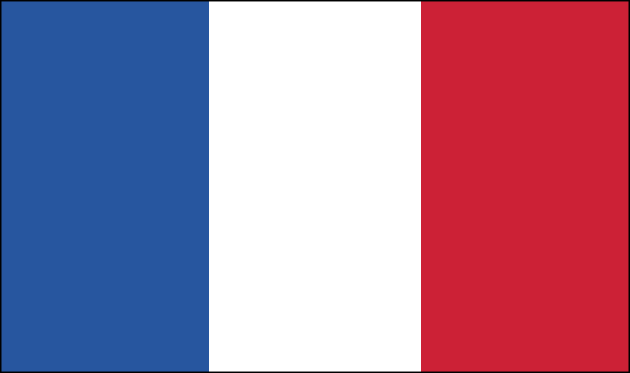 French Flag